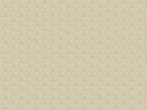 HookedOnWalls JV 602 Jaipur Triangles Tropicales - 6831