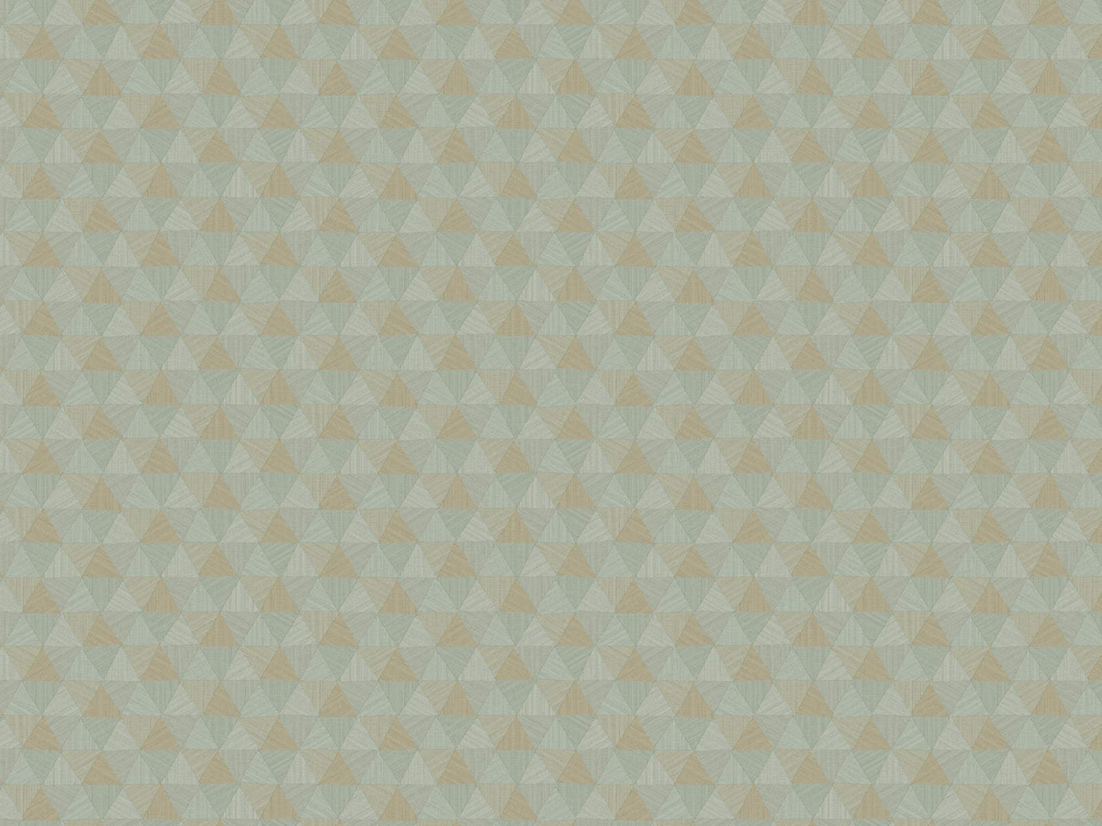 HookedOnWalls JV 602 Jaipur Triangles Tropicales - 6833