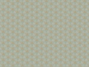 HookedOnWalls JV 602 Jaipur Triangles Tropicales - 6833