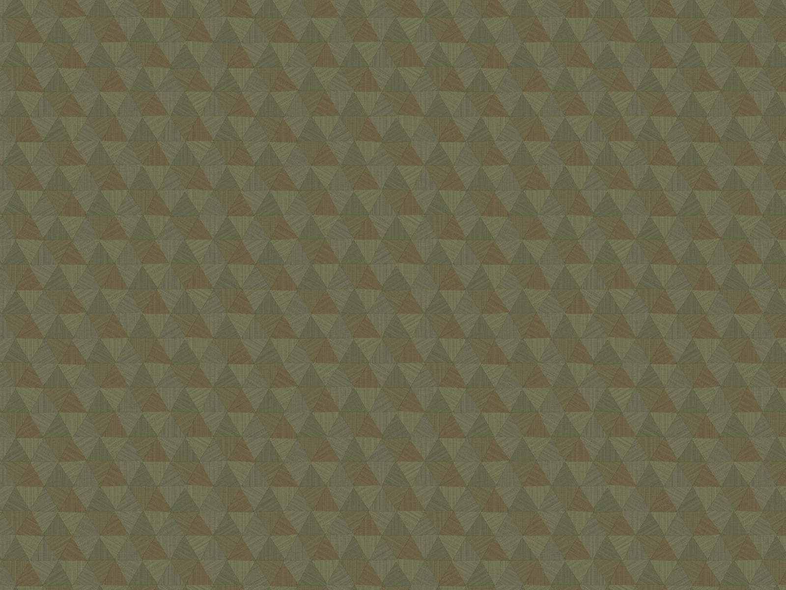 HookedOnWalls JV 602 Jaipur Triangles Tropicales - 6834