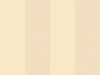 Hookedonwalls Stripes & Stripes Arrow - 90750