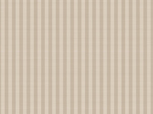 Hookedonwalls Stripes & Stripes Paksi - 90775