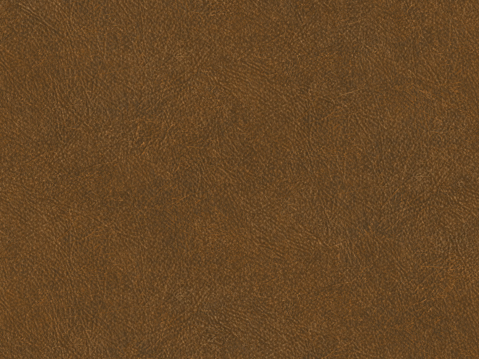 HookedOnWalls Tahiti Leather Plain - TA25026