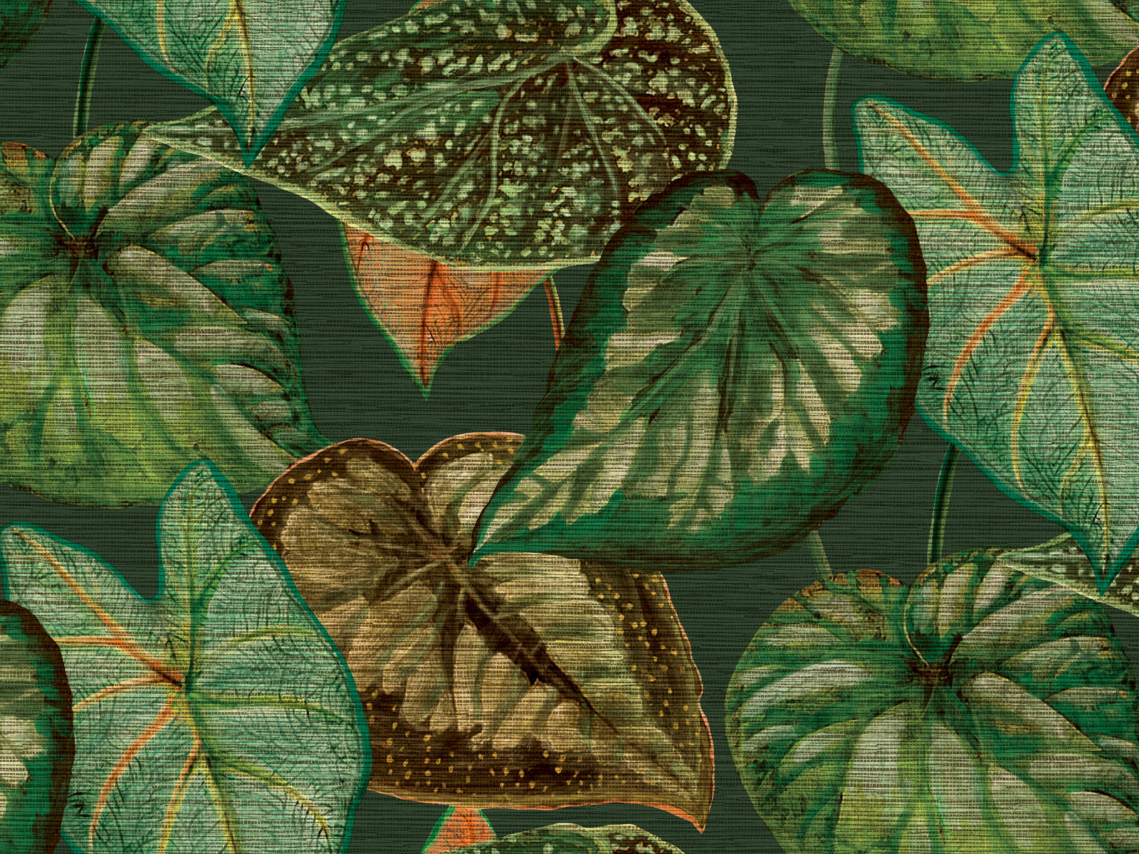HookedOnWalls Tahiti Tropical Leaves - TA25054