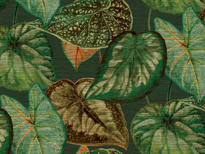 HookedOnWalls Tahiti Tropical Leaves - TA25054