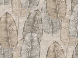 HookedOnWalls Tahiti Rubbertree - TA25080