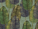 HookedOnWalls Tahiti Rubbertree - TA25083