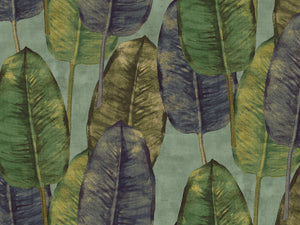 HookedOnWalls Tahiti Rubbertree - TA25083