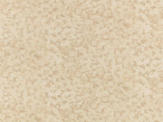 Kirkby Design Wallcoverings Vol. 2 Fragment - Natural - WK829/01