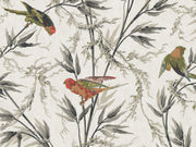 Little Greene National Trust Papers IV Great Ormond St. - Signature