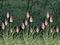 Little Greene Behang National Trust Papers III Upper Brook Street - Night Garden