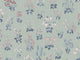 Little Greene Behang National Trust Papers II Millefleur - Chambray