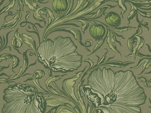 Little Greene Behang National Trust Papers III Poppy Trail - Sage Green