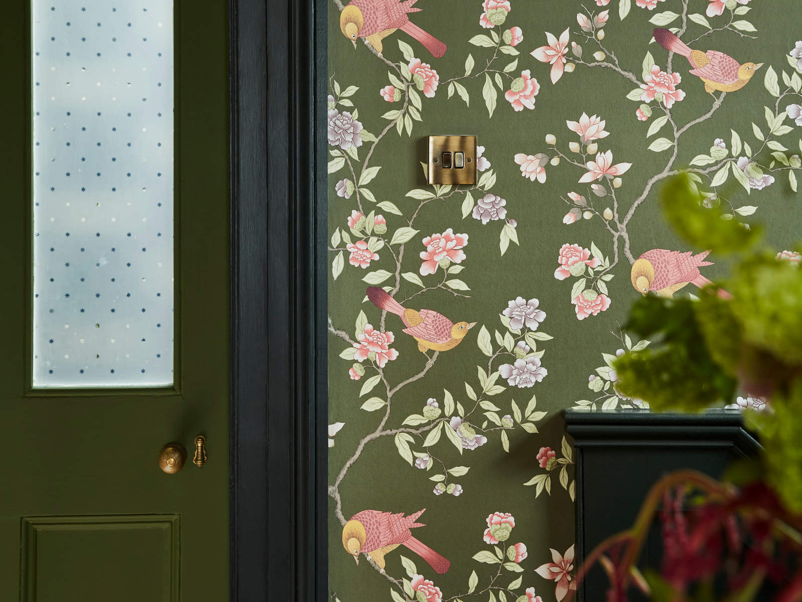 Little Greene National Trust Papers IV Aderyn - Olive Colour