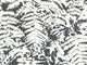 Little Greene Behang 20th Century Papers Fern - Off Black