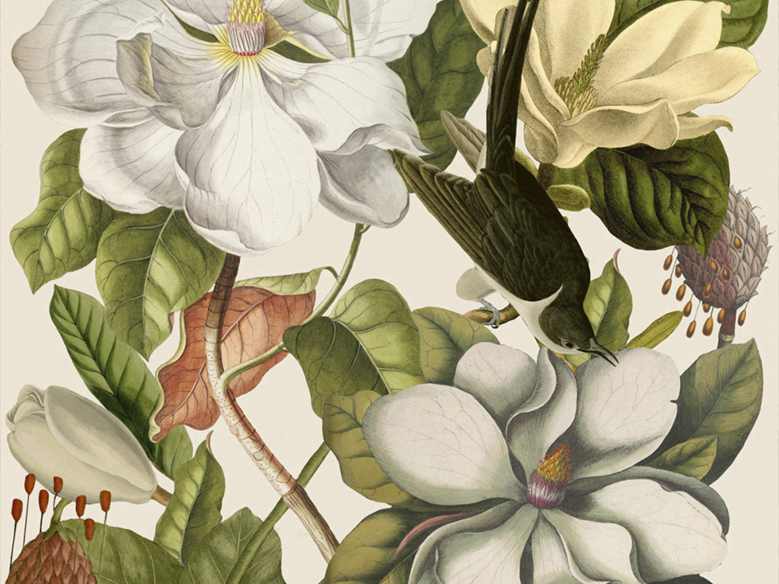 Mind The Gap The Florist Magnolia Taupe - WP20152
