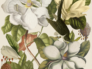 Mind The Gap The Florist Magnolia Taupe - WP20152