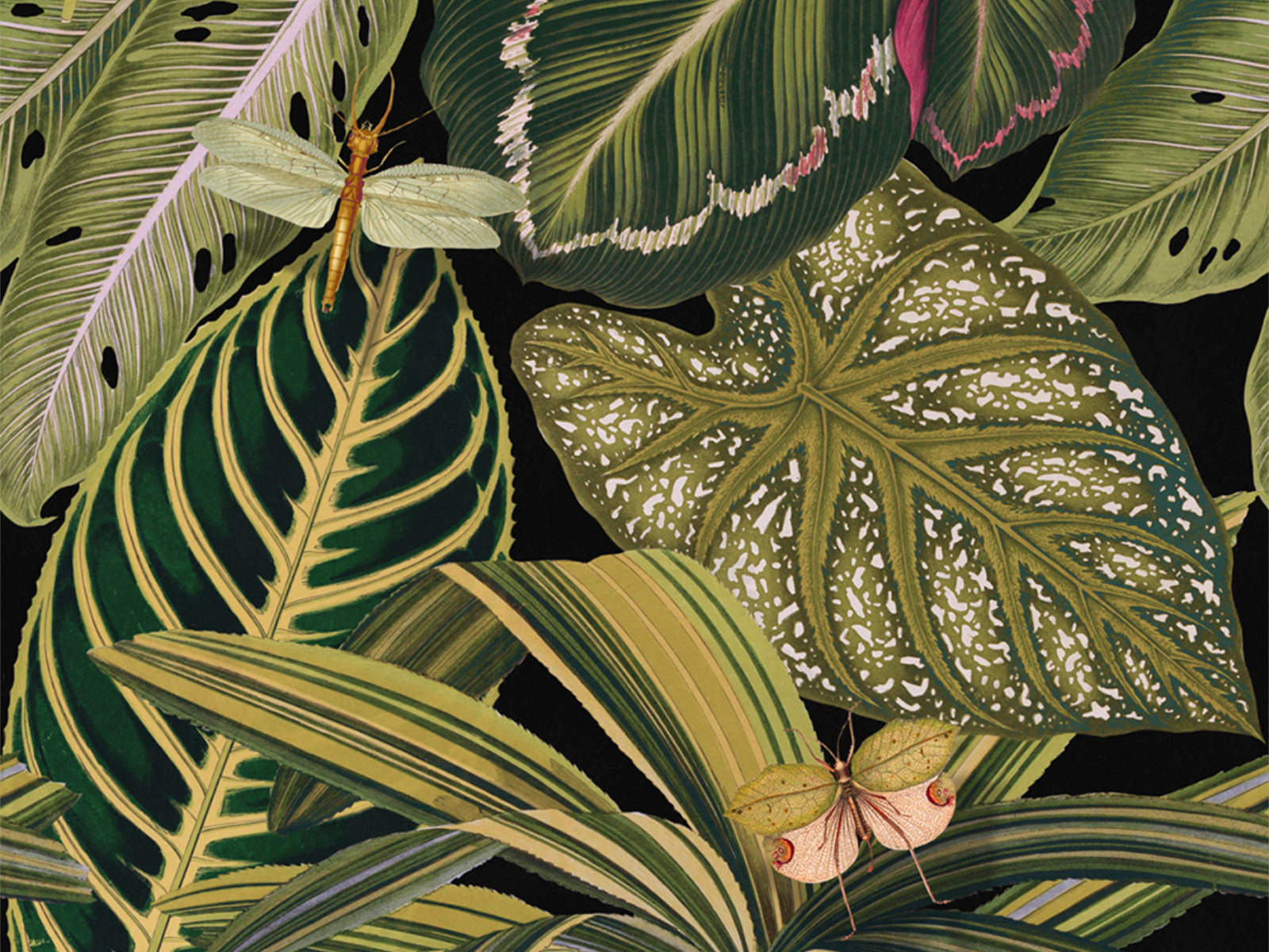 Mind The Gap The Rediscovered Paradise Amazonia - WP20159