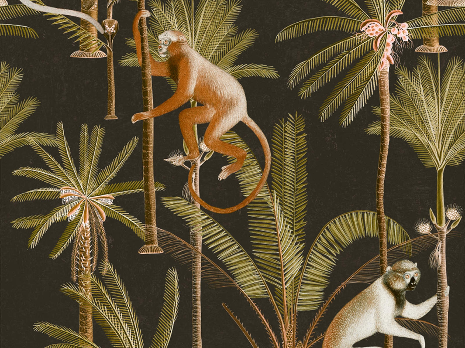 Mind The Gap The Rediscovered Paradise Barbados Anthracite - WP20160