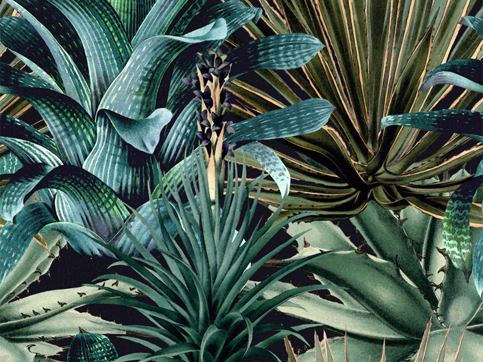 Mind The Gap The Rediscovered Paradise Lush Succulents - WP20164