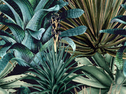 Mind The Gap The Rediscovered Paradise Lush Succulents - WP20164