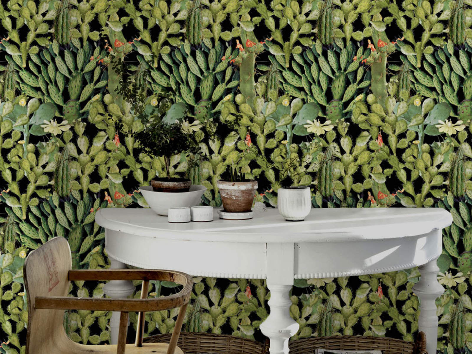 Mind The Gap The Rediscovered Paradise Opuntia Anthracite - WP20165
