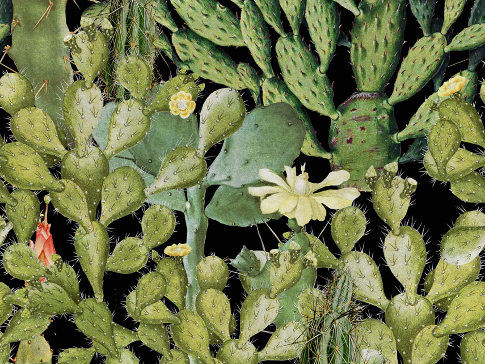 Mind The Gap The Rediscovered Paradise Opuntia Anthracite - WP20165