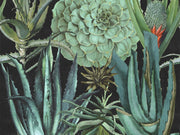 Mind The Gap The Rediscovered Paradise Succulentus Anthracite - WP20167