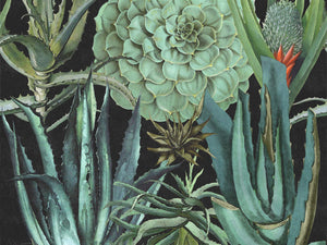 Mind The Gap The Rediscovered Paradise Succulentus Anthracite - WP20167