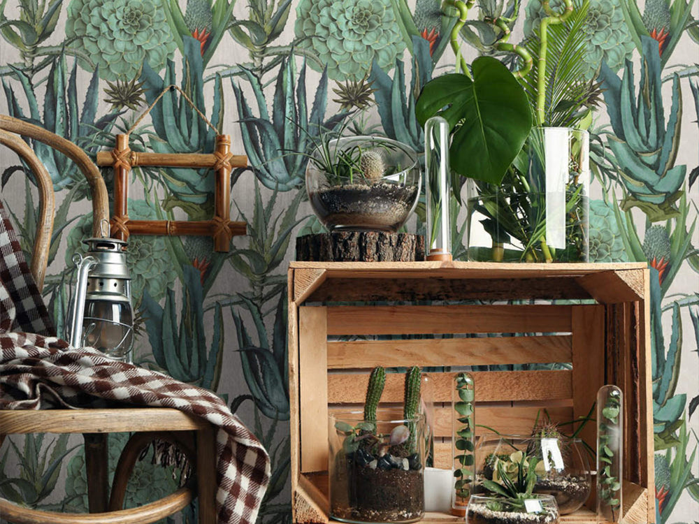 Mind The Gap The Rediscovered Paradise Succulentus - WP20168