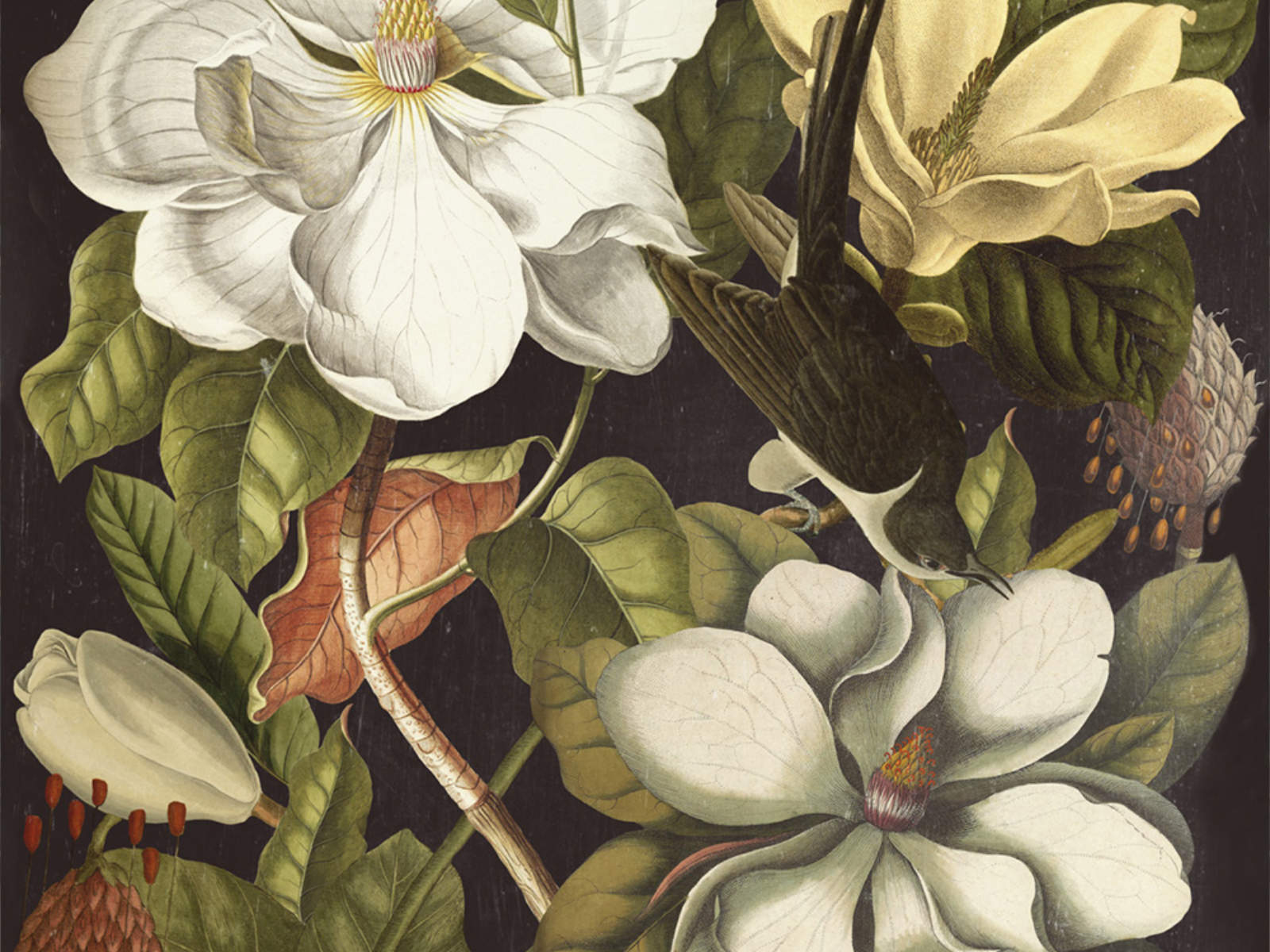 Mind The Gap The Florist Magnolia - WP20171