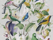 Mind The Gap The Rediscovered Paradise Tropical Birds - WP20172
