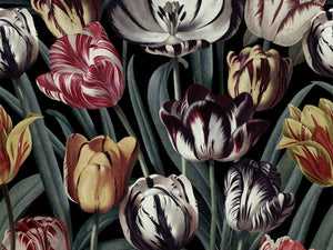 Mind The Gap The Florist Tulipa Dark - WP20177