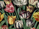 Mind The Gap The Florist Tulipa - WP20178