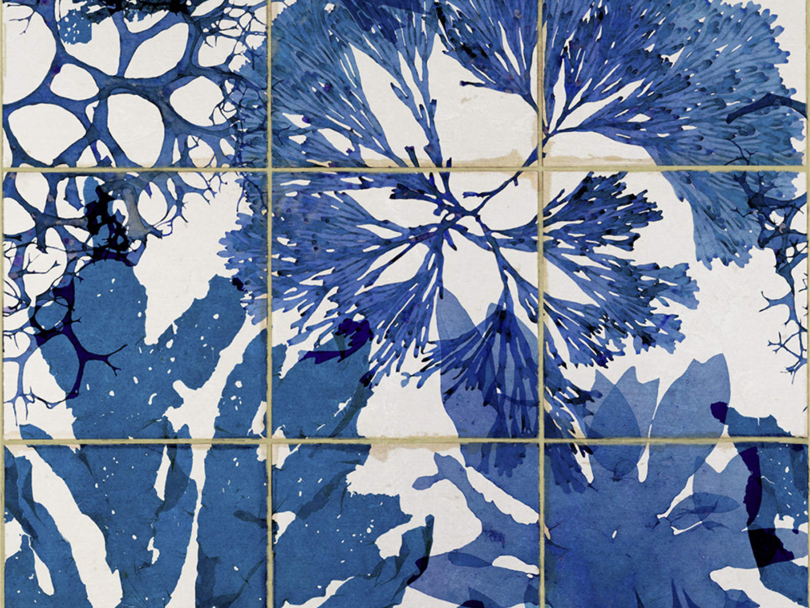 Mind The Gap Mediterraneo Algae In Blue - WP20179