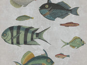 Mind The Gap Mediterraneo Poissons Grey - WP20182
