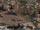 Mind The Gap Fabric Obssesion Camo Brown - WP20202