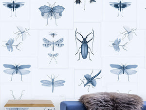 Mind The Gap The Antiquarian Entomology Blue - WP20235