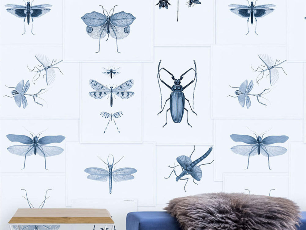 Mind The Gap The Antiquarian Entomology Blue - WP20235