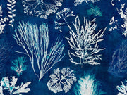 Mind The Gap Atoll Algae Navy Blue - WP20297