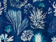 Mind The Gap Atoll Algae Navy Blue - WP20297