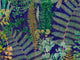 Mind The Gap Florilegium Green Sanctuary Anthracite - WP20318