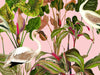 Mind The Gap Palm Springs Beverly Hills Pink - WP20359