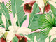 Mind The Gap Palm Springs Treasure Island Pink - WP20365