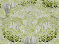 Mind The Gap The Royal Garden Savage Leaves Green - WP20445