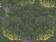 Mind The Gap The Royal Garden Savage Leaves - WP20466