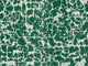 Mind The Gap The Gentlemen's Corner Royal Hunting Racing Green - WP20468