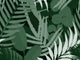 Mind The Gap Cubana Jardin Del Sol Green - WP20492