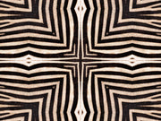 Mind The Gap Origins Serengeti - WP20505