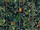 Mind The Gap Tropical Wanderlust Wildlife Of Papua Dark - WP20527